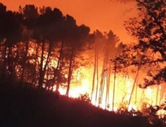 Pisano a fuoco: 500 evacuati