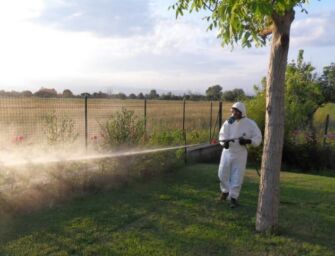 Sono già due i casi di Dengue a Modena: parte la disinfestazione