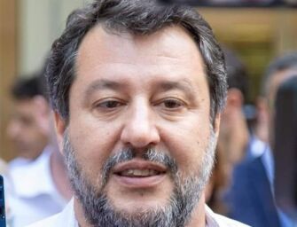 Salvini: sono imbecilli che fanno danni