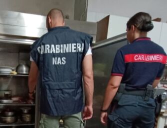 Nas in azienda vitivinicola in Val Parma: tracce di topi e scarafaggi