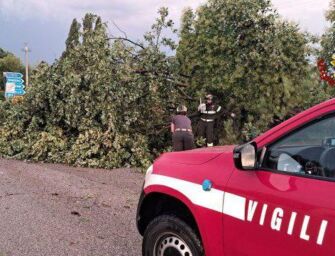 Vento, pioggia e grandine: danni nella Bassa modenese