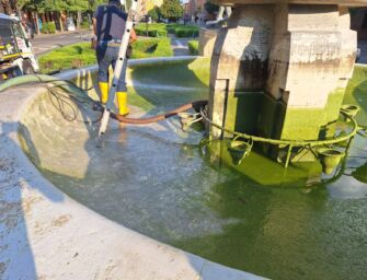 ‘Mucillagine’ pure in fontana di Modena