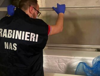 I Nas sequestrano 20 kg di prodotti scaduti in una gelateria di Modena