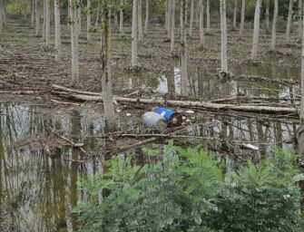 Guastalla. La piena del Po trascina i rifiuti in golena