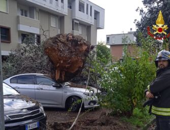 Maltempo, oltre 100 interventi a Modena