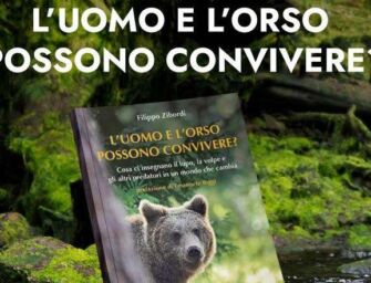 Cavriago: orso e uomo possono convivere?