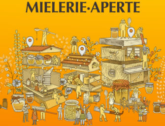 Domenica 17 novembre torna anche in Emilia l’iniziativa “Mielerie aperte”