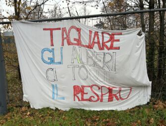 Bosco di Ospizio addio, arrivano le ruspe